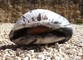 diam 29 cm