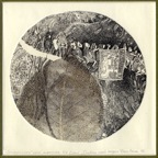 Elena OJOG - 06