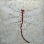 libellule