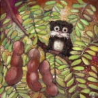 Tamarin