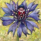 Bleuet