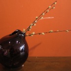 Mai 2008 - 17