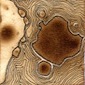 terre05_08