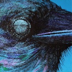 bluecrow